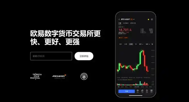 GOpay钱包平台展示图